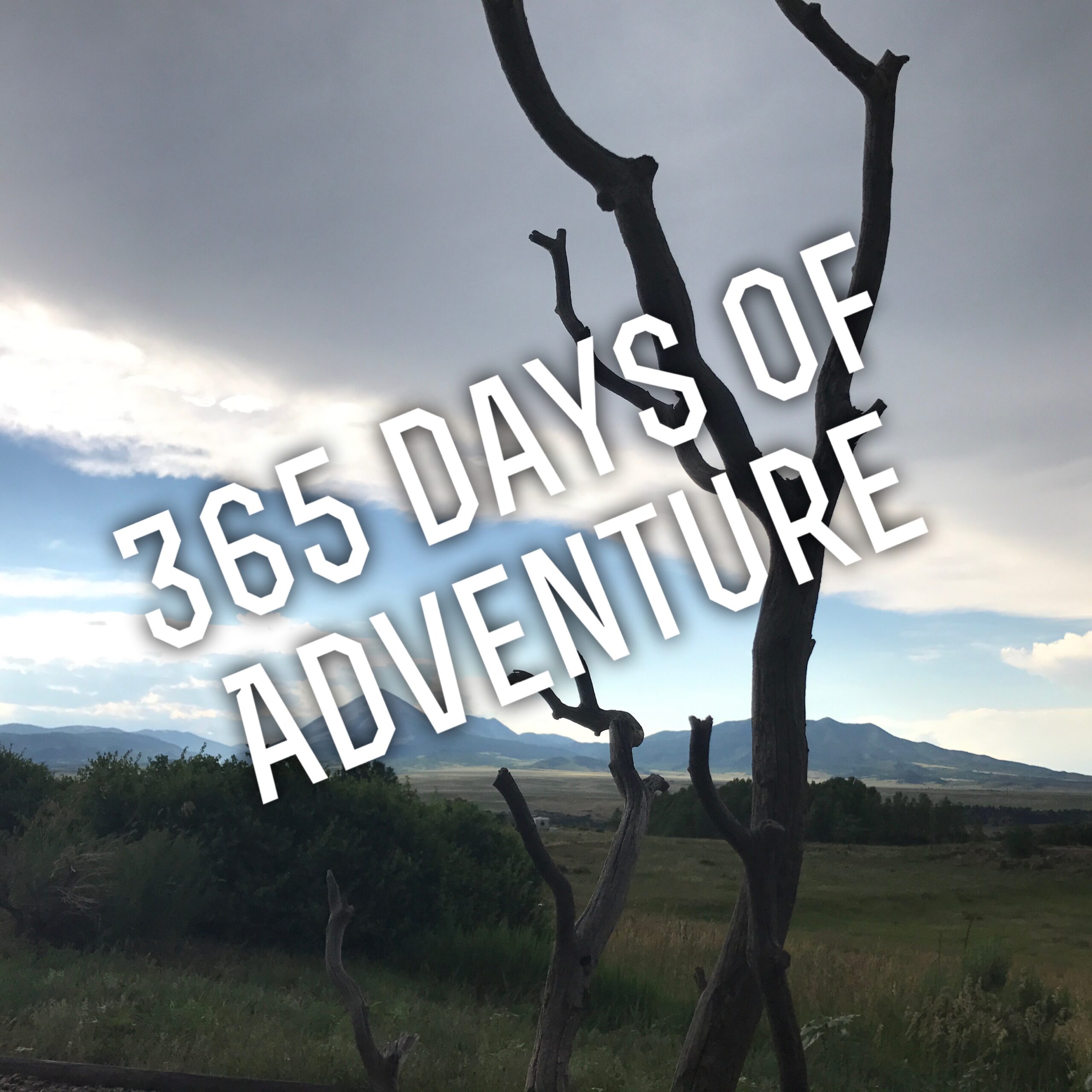 365 Day of Adventure - Sharon K. Angelici 365 Day of Adventure - Sharon K. Angelici