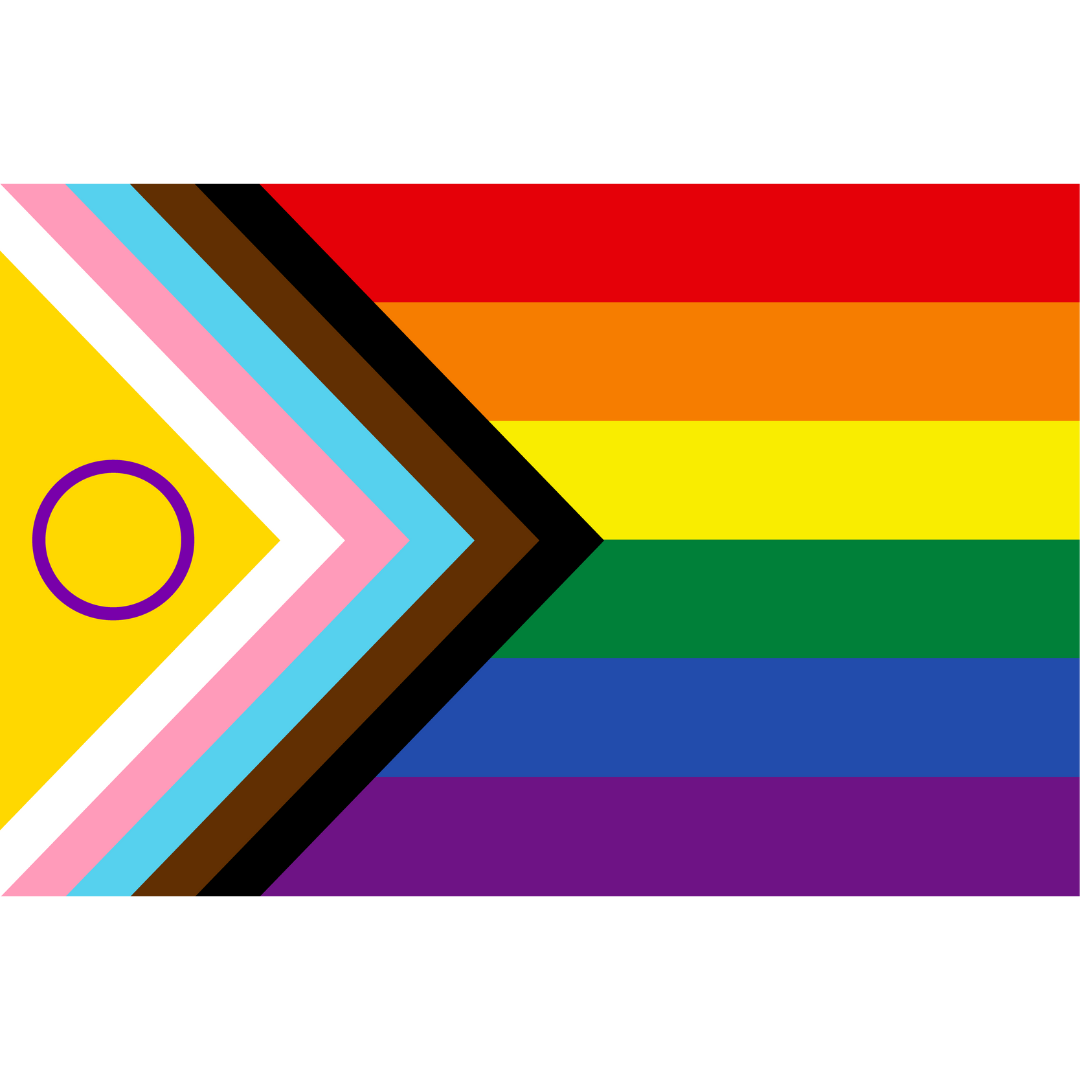 LGBTQ Progress Flag