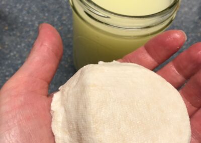 a hand holding goat cheese made at home